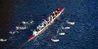 Scullers in training