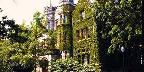 Ivy-covered walls of "The Castle"