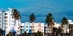 Along Ocean Drive