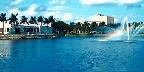 University of Miami