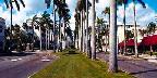 Royal Palm Way