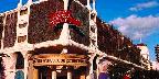 Coconut Grove, fashionable Grand Avenue