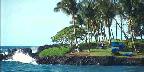 Lava flow and resort grounds, Kohala coast