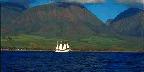 Sailboat, Lahaina