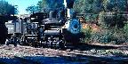 Feather River Ry, Shay locomotive #3, near Oroville, CA
