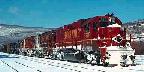 Lehigh Valley, EMD #311 leads freight at Lehighton, PA