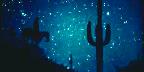 Desert night rider, Arizona