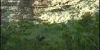Montezuma Castle