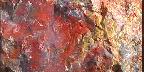 Close-up of petrified wood
