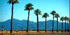 Litchfield Park Road, Interstate 10