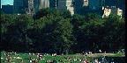 Relaxing in Central Park, New York City