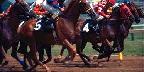 And they're off..., Pimlico Race Course, Baltimore, MD