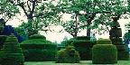 Cave yews in topiary garden, Longwood Gardens, PA