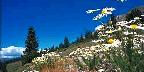 Boreas Pass, Breckenridge
