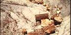 Broken logs, Petrified Forest National Park, Arizona