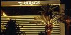 Floodlit Palm Mirage