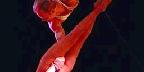 Acrobatics, Circus Circus