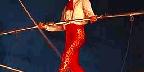 High wire act, Circus Circus