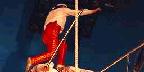 High wire act, Circus Circus