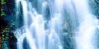 Falls, near Hyder, Alaska