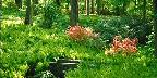 Gardens at Winterthur, Delaware