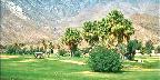 Golf course, Palm Springs, California