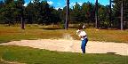 Out of the sand at Lake Marion, Santee, South Carolina