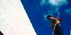 Painter, Clearwater, Florida