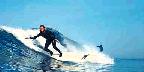 Lady surfer in California