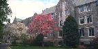 Springtime, Villanova University, Villanova, Pennsylvania