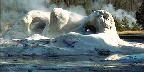 Grotto Geyser, Upper Geyser Basin, Yellowstone National Park