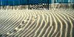 Sandscape, Atlantic City, New Jersey