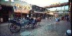 Horse-drawn wagon, Church Street Station, Florida