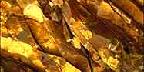 Close-up of rock formations, Cascades, Washington State