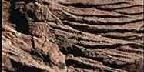 Beach cliff erosion textures, San Clemente