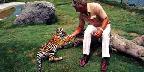 Meeting a tiger cub at the zoo, San Mateo, California