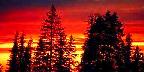 Sunset near Cedar Breaks National Monument, Brian Head, Utah