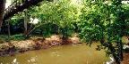 Bayou Bend Collection Park, Houston, Texas
