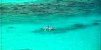 Snorkelers, St. John