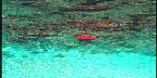 Snorkeler, St. John
