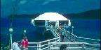 Coral World, St. Thomas