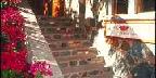 Shopping at Mongoose Junction, St. John