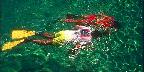 Snorkelers, St. Thomas